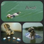 Benzli.jpg