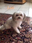 Leni.jpg
